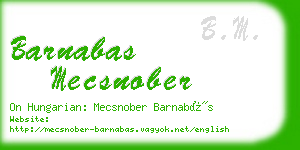 barnabas mecsnober business card